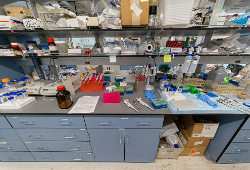 Key Factors in Laboratory Balance Troubleshooting