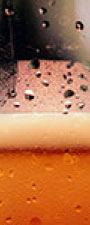 Brewing Application Page