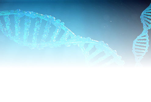 Observe Quantitative Replication of Dna in Real-Time With qPCR System