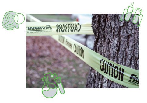 Crime Scene