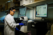 In Vitro and In Vivo Studies