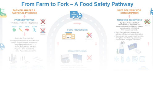 Farm To Fork Infographic
