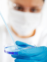 Lab Tech Filling Petri Dish