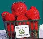 food safety