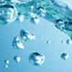 Water, the main ingredient
