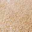 Yeast, the alcohol producer